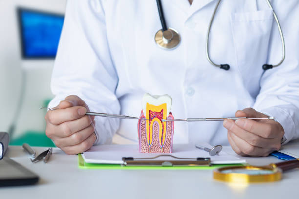 Best Broken or Cracked Tooth Emergency Dentist in Prceton, IN